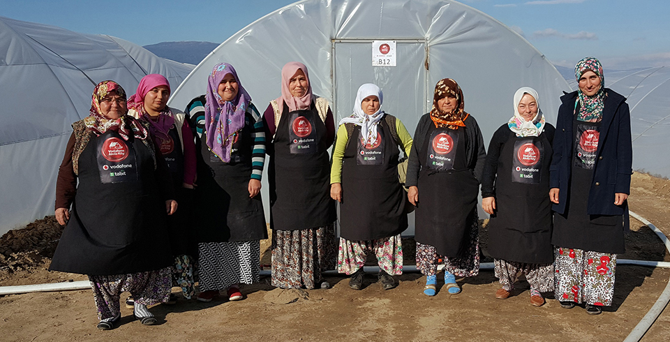 Girişimci Kadın Çiftçiler, İlk Hasatta 30 Bin Marul Sattı